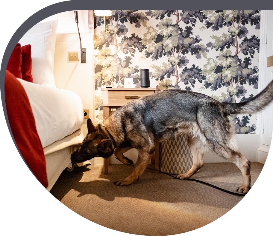 Partenariat détection canine de nuisibles - Cyno Group